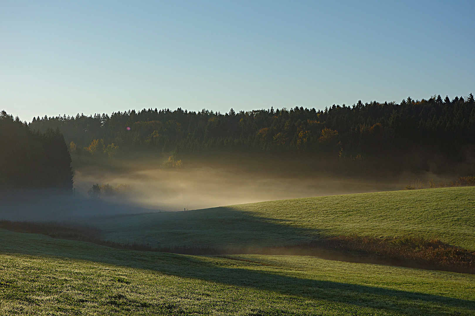Morgennebel im Bayerischen Wald
